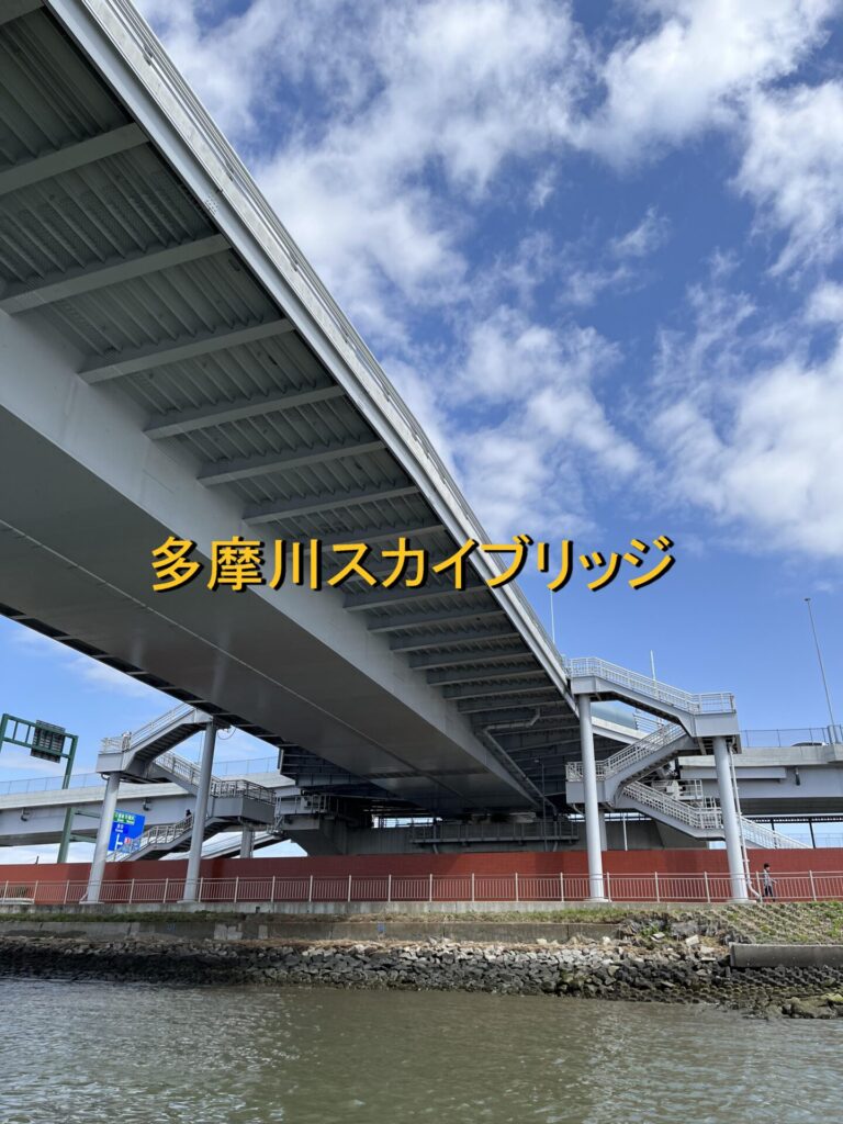 免活に!!高線量‼南砺ペグマタイト(61)